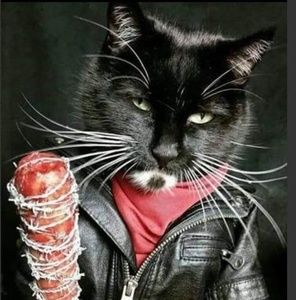 Meet your Posher, Fina